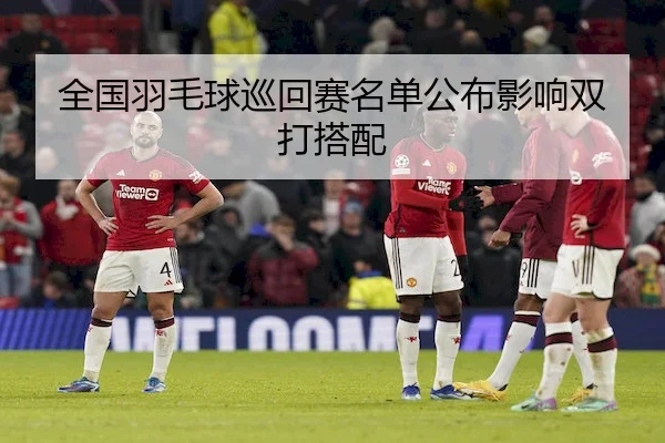全国羽毛球巡回赛名单公布影响双打搭配